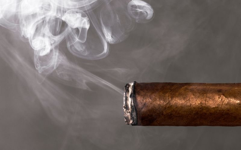 Cat smoking a cigar Cat holding a cigarette